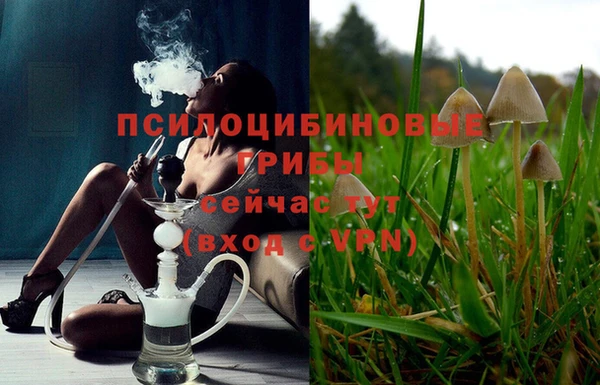 марки nbome Алзамай