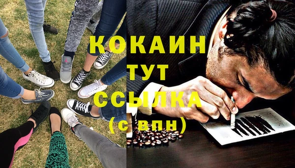 apvp Абаза
