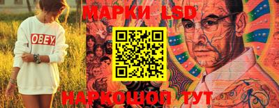 спиды Новозыбков