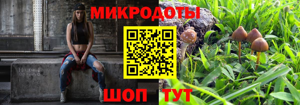 Псилоцибиновые грибы Psilocybine cubensis  Псилоцибиновые грибы прущие грибы  Троицк  Вход с VPN 